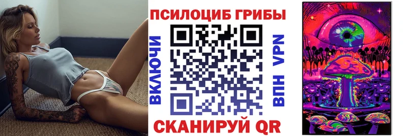 Купить закладки  Сураж  Галлюциногенные грибы мухоморы 